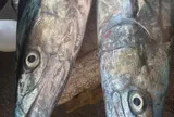 3 loại cá "tốt hơn cả cá hồi", chợ Việt bán nhiều vô kể
