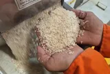 Những loại gạo nào có cơ hội ở thị trường nhập khẩu gạo tới 90%?