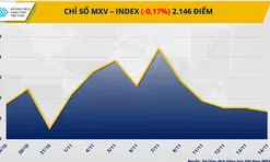 Giá kim loại giảm sâu, giá cà phê lập đỉnh mới