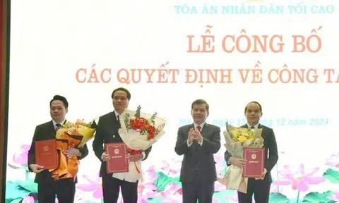 Chủ tịch nước bổ nhiệm Phó Chánh án Tòa án nhân dân Tối cao