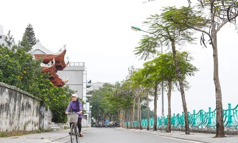 Phố phường Hà Nội vắng vẻ trong ngày cuối tuần rét đậm