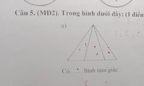 Bài toán đếm hình của con nhìn đơn giản nhưng khiến bà mẹ Đà Nẵng toát mồ hôi, hóa ra có "mẹo" làm phút mốt là ra