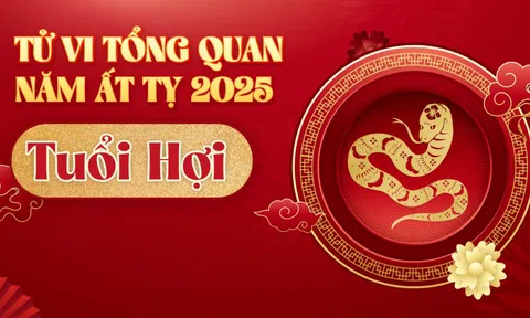 Tử vi tổng quan tuổi Hợi năm Ất Tỵ 2025: Sự nghiệp thăng tiến, tài lộc dồi dào, lưu ý chuyện tiền bạc