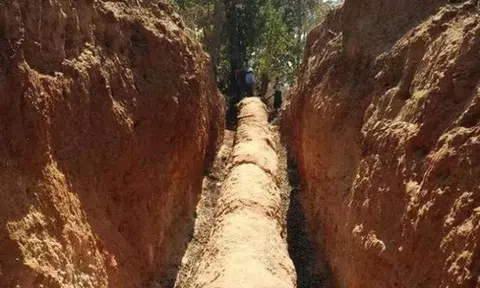 Người đàn ông đào trúng cây gỗ chết khô dài 30m: Hiện trường bị phong tỏa ngay lập tức, chuyên gia định giá là “kho báu trời cho” 660 tỷ đồng