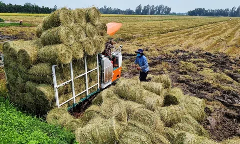 Agritechnica Asia 2025: Cơ hội thúc đẩy nông nghiệp xanh tại Việt Nam