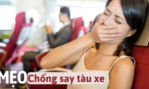 Ngoài 30 tuổi, lần đầu tiên tôi biết có 1 loại lá chống say tàu xe: Hiệu quả không kém thuốc chống say mà giá chỉ vài ngàn đồng