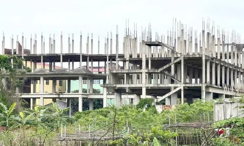 Quảng Bình: Thêm một dự án bị UBND tỉnh thu hồi đất do chậm tiến độ