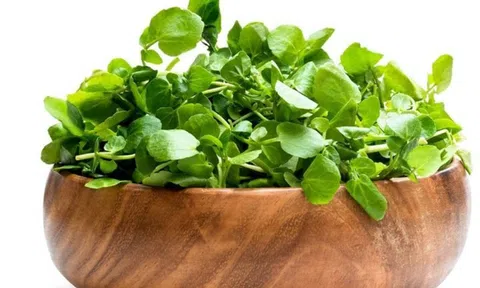 2 loại rau người Việt thích mê dễ là "ổ sán", nhất là cái số 1