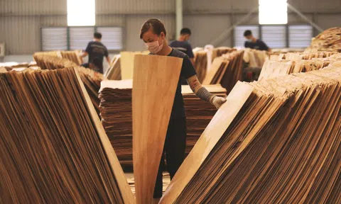 Ngành gỗ Việt trước "cú sốc" thuế Mỹ: Cần một mô hình tăng trưởng mới
