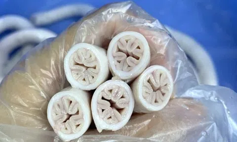 Lòng se điếu giá đắt đỏ tiền triệu có bổ dưỡng hơn lòng non thông thường?