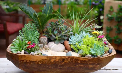 WHO đặc biệt cảnh báo 1 nguy cơ ngay trong nhà: Chuyên gia khuyên trồng loại cây giá rẻ này để "hóa giải"