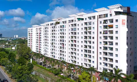 Ban quản trị chung cư ở TP.HCM bị phạt gần 120 tỷ đồng