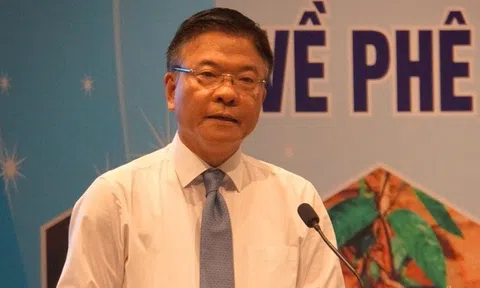 Sâm Ngọc Linh và chiến lược phát triển dược liệu bền vững ở Quảng Nam