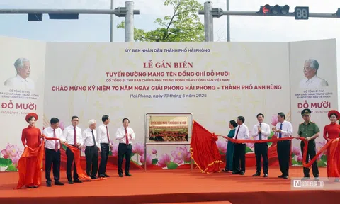 Hải Phòng: Gắn biển tuyến đường mang tên cố Tổng Bí thư Đỗ Mười