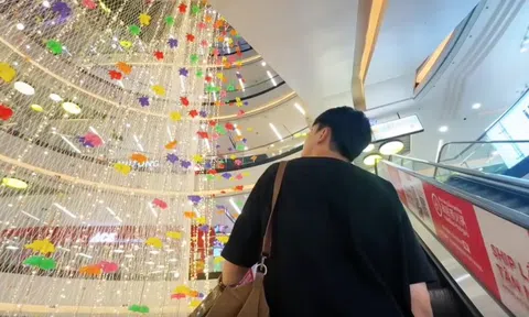 Đến Vạn Hạnh Mall những ngày này, 10 người thì cả 10 đều vô thức làm một việc giống hệt nhau
