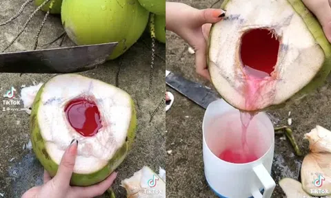 Loại quả mùa hè rẻ tiền có mặt khắp Việt Nam, không chỉ giải khát mà còn được ưa chuộng vì mát gan, thải độc