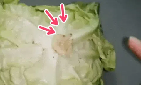 Nếu biết cắm tăm vào cuống xà lách, chắc tôi đã không lãng phí 3 bó rau ngon lành!
