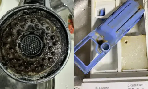 6 vật ngày nào cũng dùng dễ là ổ nấm mốc, bẩn kinh hoàng lại lăm le gây bệnh cho người