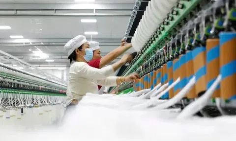 Muôn hình vạn trạng phản ứng của doanh nghiệp Việt trước chính sách thuế quan Mỹ