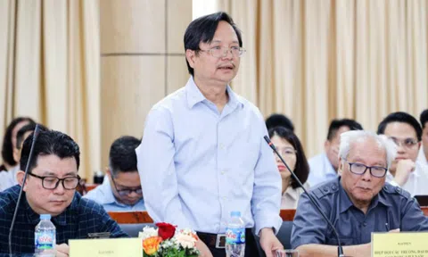Không biết giải thích với nước ngoài thế nào là 'trường đại học trong đại học'