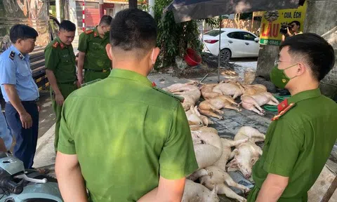 Mở đợt cao điểm đấu tranh, ngăn chặn buôn lậu, hàng giả trên toàn quốc từ ngày 15/5 đến 15/6