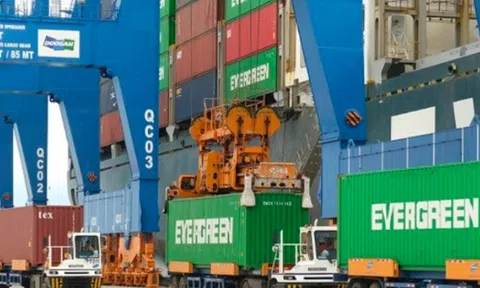 Nhóm cựu lãnh đạo chi cục hải quan nhận hối lộ để giúp thông quan hàng hóa trị giá 1.800 tỷ
