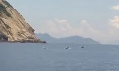 CLIP: Đàn cá heo tung tăng bơi lội giữa vịnh Nha Trang