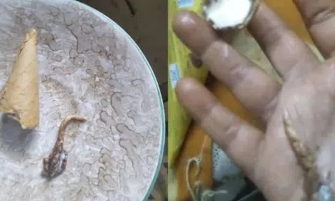 Đang ăn kem, người phụ nữ sốc nặng khi phát hiện thứ "đáng sợ"