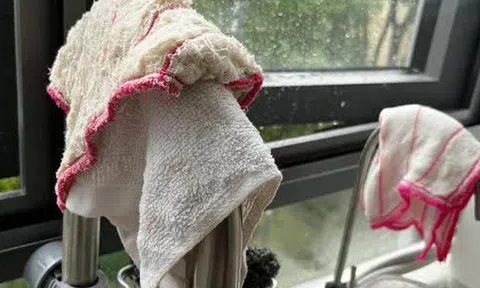 Nói thật: 5 vật dụng nhà bếp nhà nào cũng có là "ổ vi khuẩn" nên vứt ngay