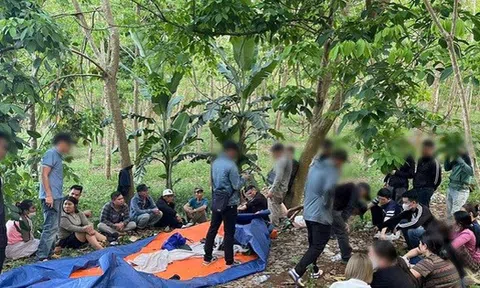 Bắt "ông trùm", phá đường dây đánh bạc tổ chức tinh vi và chuyên nghiệp trong rừng