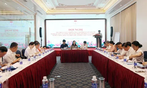 Hội Luật gia Tp.Hải Phòng lấy ý kiến về việc sửa đổi Hiến pháp