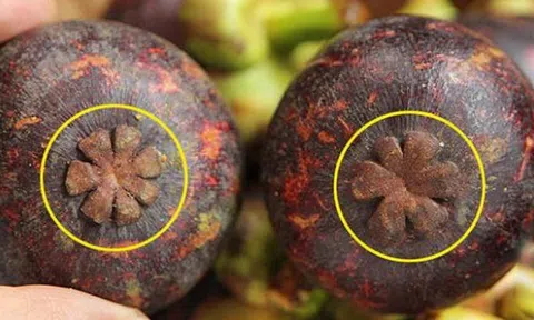 4 mẹo "nhìn phát biết ngay" măng cụt ngọt đậm, vỏ mỏng, nhiều múi, mua 1000 lần đều thành công!