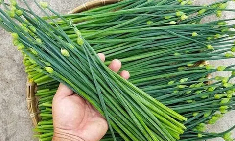 8 loại rau yên tâm mua ở chợ, không lo thuốc trừ sâu