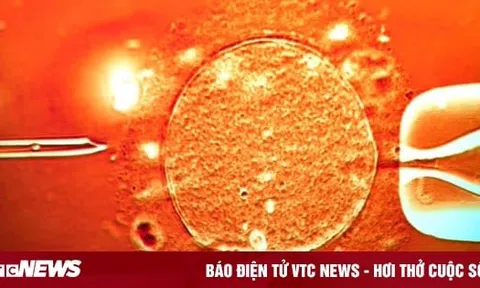 67 trẻ sinh ra từ tinh trùng người hiến mang gene ung thư, 10 trẻ mắc bệnh