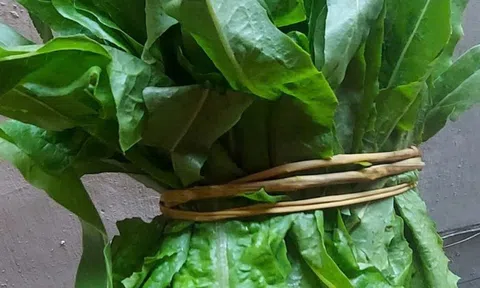Loại rau "nhà nghèo" bổ hơn tổ yến, canxi gấp 36 lần nước hầm xương, chợ Việt bán nhiều vô kể