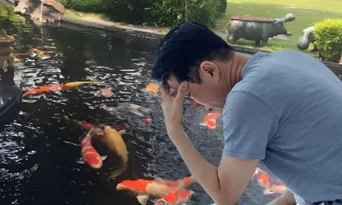 Cho hàng xóm gửi nhờ cá cảnh, 3 ngày sau cả đàn cá quý trị giá 930 triệu đồng lăn ra chết, người đàn ông khởi kiện, tòa tuyên bố: Lỗi tại người gửi