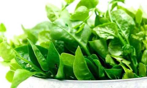"4 không" khi ăn rau mồng tơi, biết mà tránh kẻo hối hận