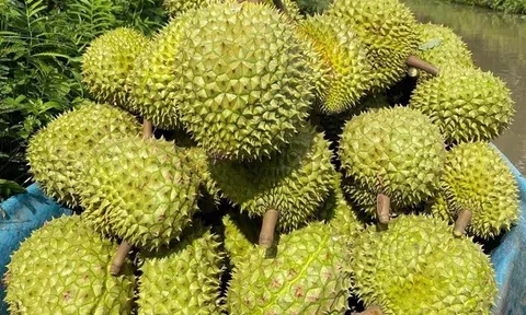 Thủ tướng chỉ đạo các giải pháp khắc phục tình trạng "được mùa mất giá"