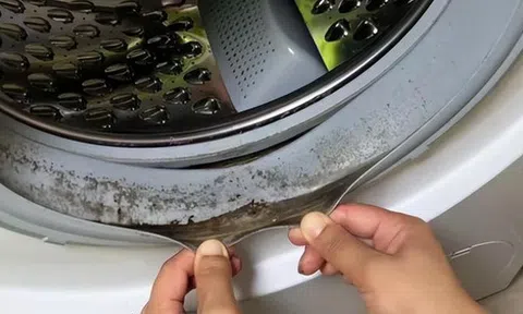 5 vật dụng trong nhà này "cực kỳ bẩn" nhưng bạn lại sử dụng chúng hàng ngày