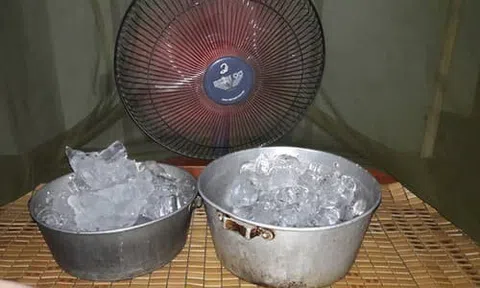 Đặt chậu nước, chậu đá trước quạt có làm mát nhà hơn không? Câu trả lời của chuyên gia gây bất ngờ