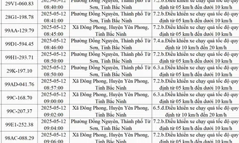 787 xe có biển số sau nhanh chóng nộp phạt nguội theo Nghị định 168