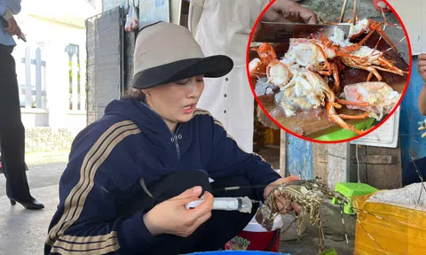 Cận cảnh người phụ nữ trực tiếp bơm thạch rau câu vào tôm hùm đã chết để bán ra thị trường
