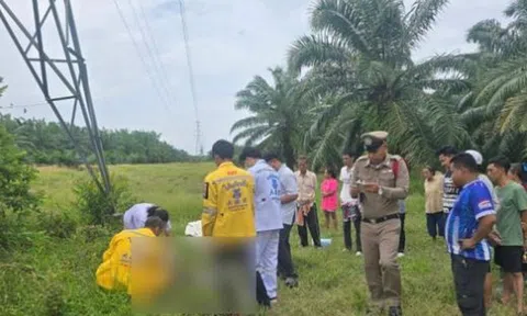 Trèo lên tháp truyền tải điện cao thế, nam thanh niên bị điện giật tử vong