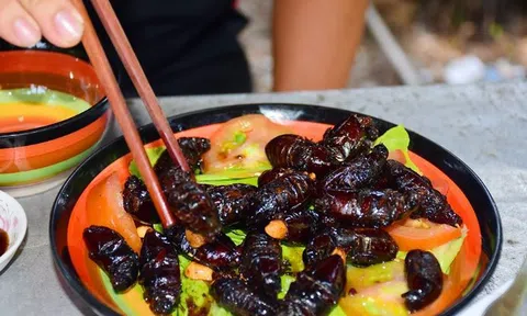 Thứ xưa là "kẻ thù nhà nông" nay thành đặc sản đắt đỏ dân nhậu thích mê, 300.000 đồng/kg