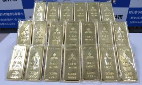 Xôn xao cụ ông 70 tuổi mang túi vàng "khủng" gần 60 tỷ đến tặng cho thành phố