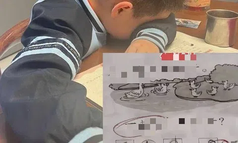 Con làm Toán 6 + 2 = 8 bị cô giáo chấm SAI, mẹ gọi điện chất vấn: Câu trả lời khiến chị sụp đổ