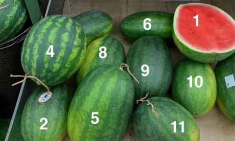 Trong 10 quả dưa hấu, đâu là quả ngọt, mọng nước nhất? Chat GPT đưa ra câu trả lời bất ngờ