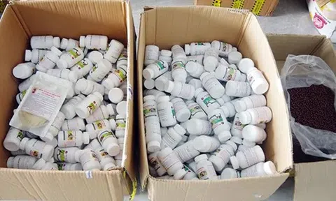 Giả danh Đông y, trục lợi người bệnh