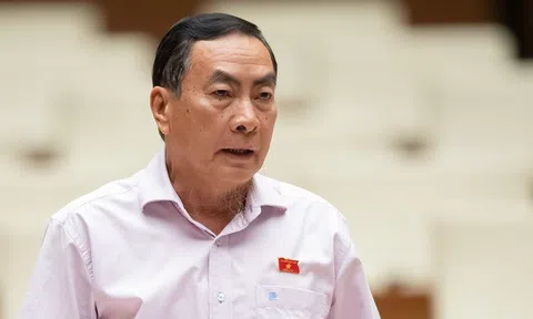 Nạn hàng giả hoành hành: Đại biểu truy trách nhiệm Bộ Công Thương, Bộ Y tế