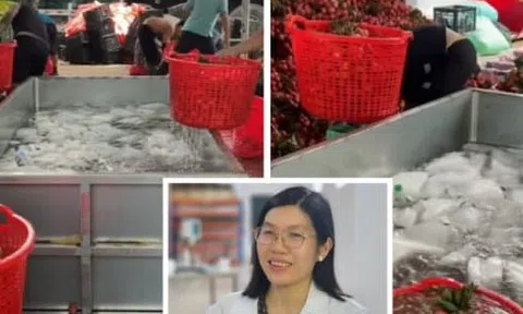 Vải thiều mới thu hoạch được ngâm nước đá, chuyên gia lý giải tác dụng